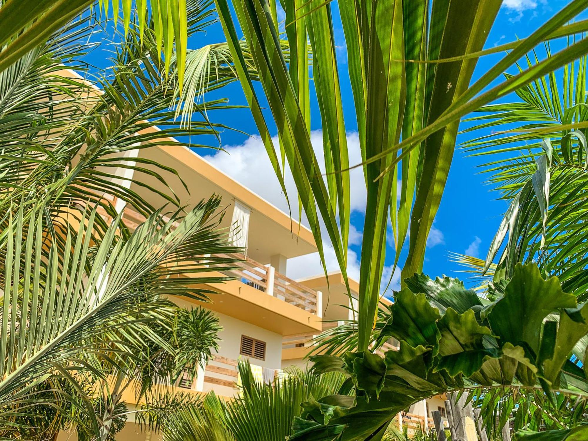 Isla Penthouse & Garden Apartments Bonaire Kralendijk  Exterior foto