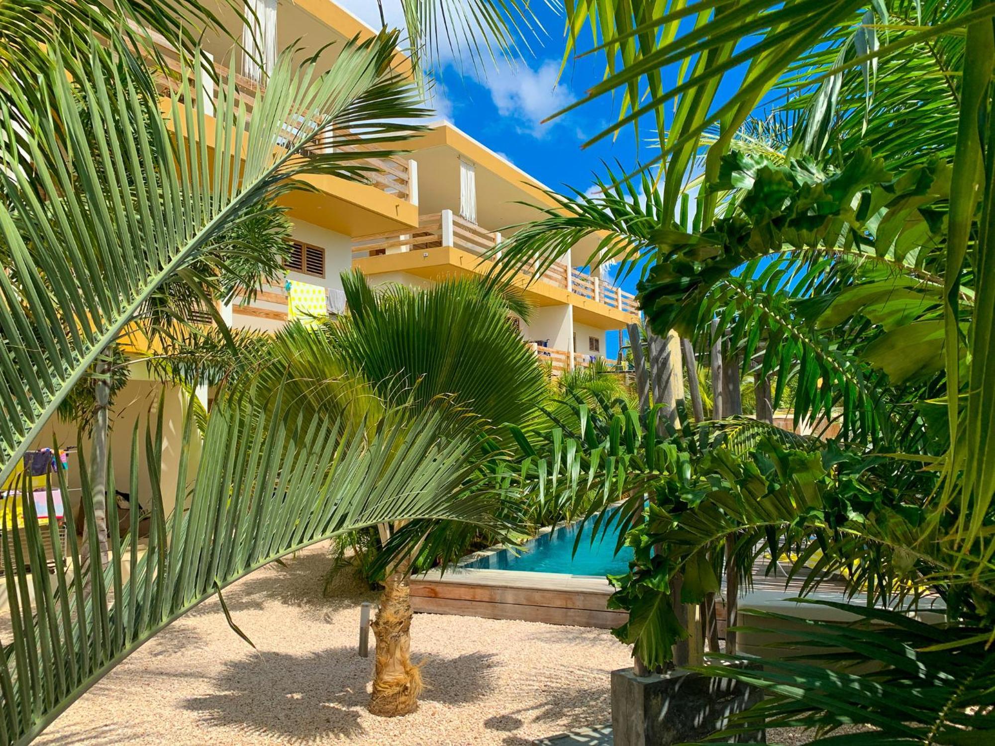 Isla Penthouse & Garden Apartments Bonaire Kralendijk  Exterior foto