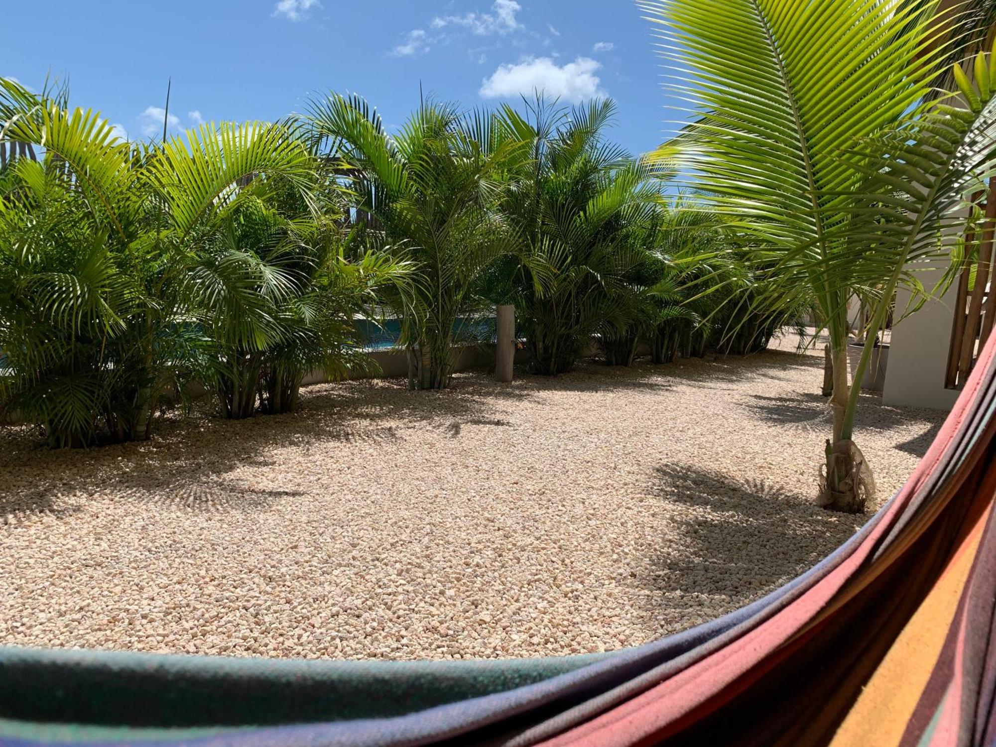 Isla Penthouse & Garden Apartments Bonaire Kralendijk  Exterior foto