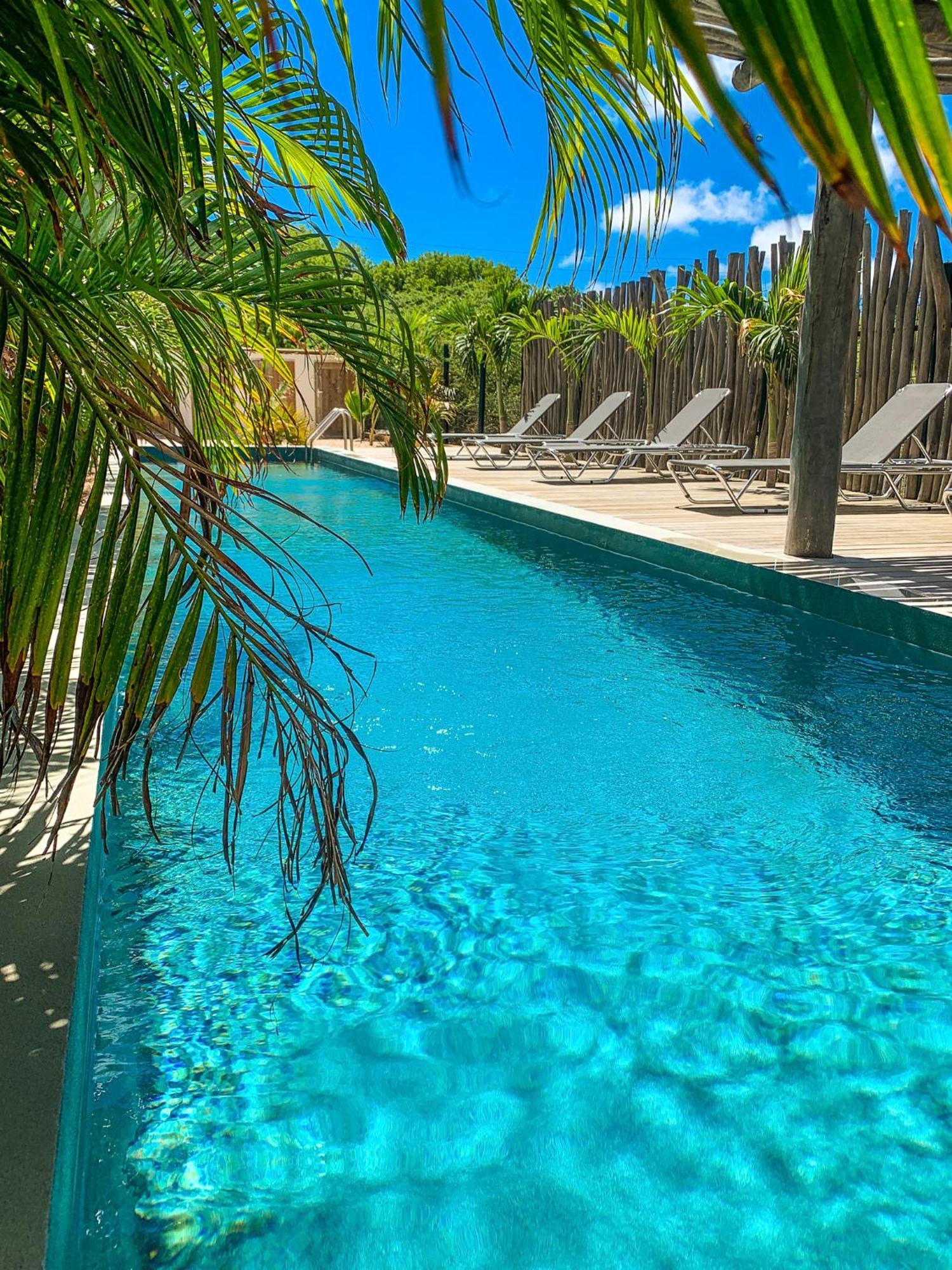 Isla Penthouse & Garden Apartments Bonaire Kralendijk  Exterior foto